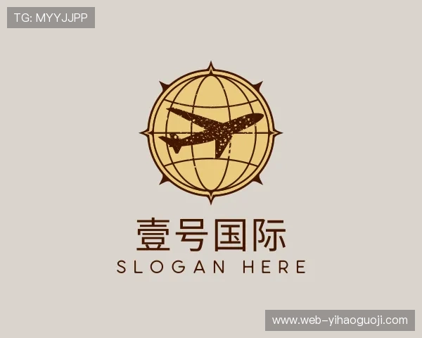 关于壹号国际